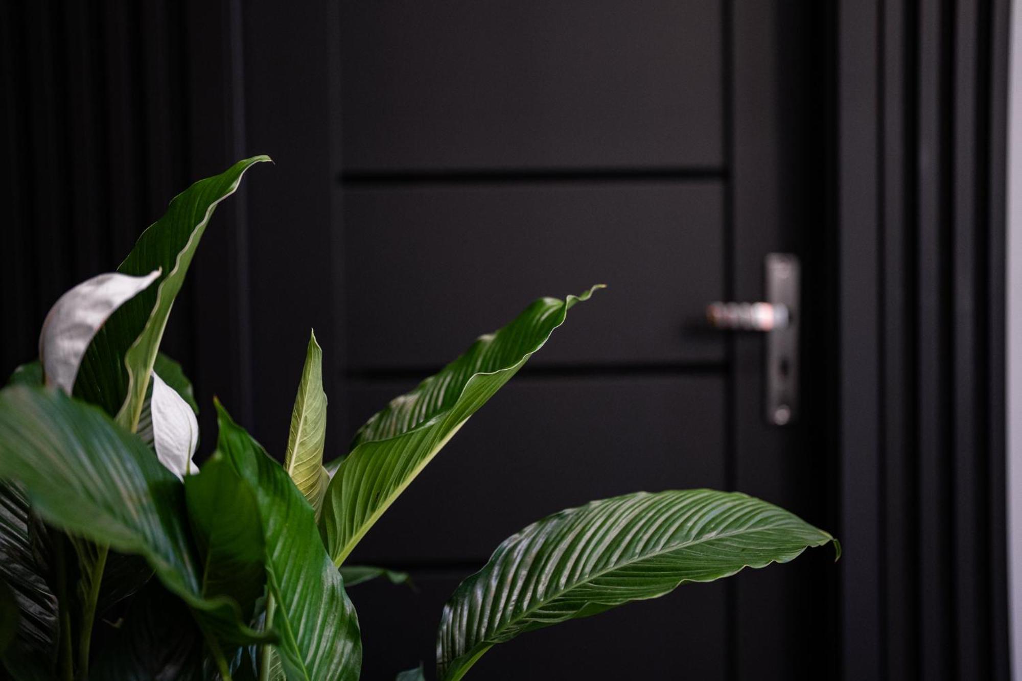 Apartmán Livingroom Oficyna Self Check-in 24h *